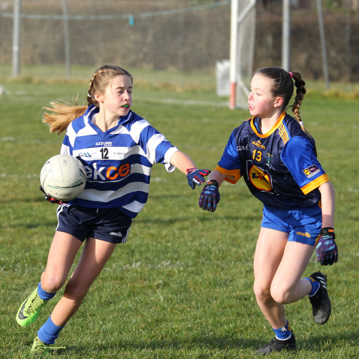 Waterford LGFA Go Games